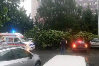 Skutki burzy w Rzeszowie