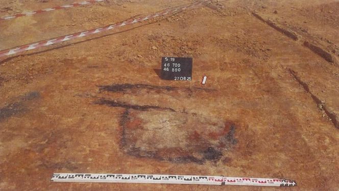 Podkarpacka historia ukryta w ziemi. Cenne znaleziska na budowie S19