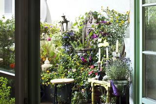 Balkon pełen kwiatów