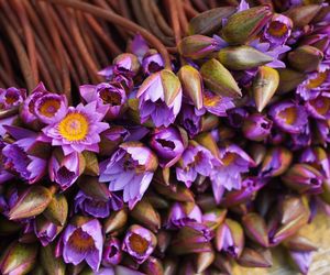 Życzenia imieninowe dla Bogusława. Mądre i pełne optymizmu pomysły na życzenia