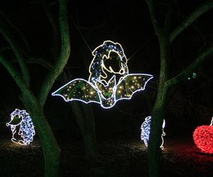 Park iluminacji „Tajemniczy Ogród” w Lublinie