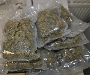 Ponad 2,5 kilogramy narkotyków nie trafi do sprzedaży. Areszt dla dwóch mężczyzn 