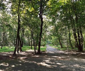 Miasto dalej nie wie, ile będzie kosztować utrzymanie sztucznej rzeki w Parku Kościuszki