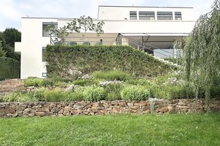 Willa Tugendhatów w Brnie