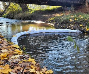 Na Białusze w Krakowie pojawiły się łapacze śmieci