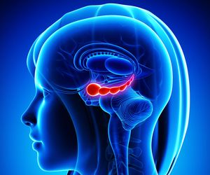 Hipokamp: jakie ma funkcje i jakie są skutki jego uszkodzenia?
