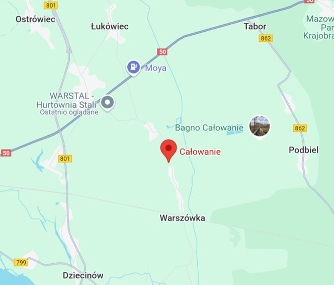 Całowanie (pow. otwocki)