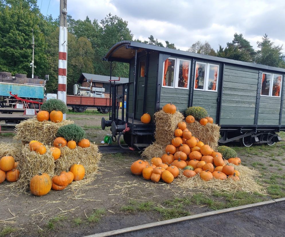 Pumpkin Express wyruszył w trasę! Magiczna stacja kolejowa w Rudach
