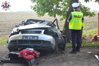 Lubelskie: Tragiczny finał wypadku. Audi uderzyło w łosia. Nie żyje 33-latek