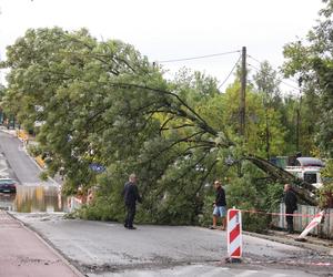 Czechowice Dziedzice. Ewakuacja mieszkańców z zalanych terenów