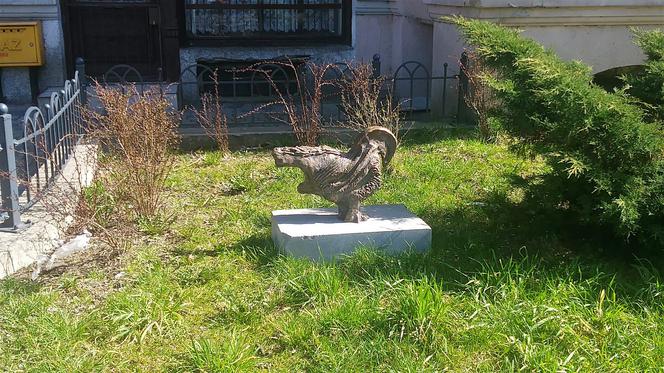 "Ptaki i ptaszyska"