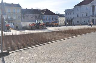 Zielona rewitalizacja w Rynku w Kielcach