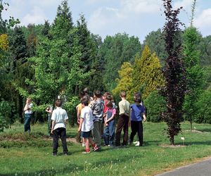 Ogród Botaniczny w Powsinie