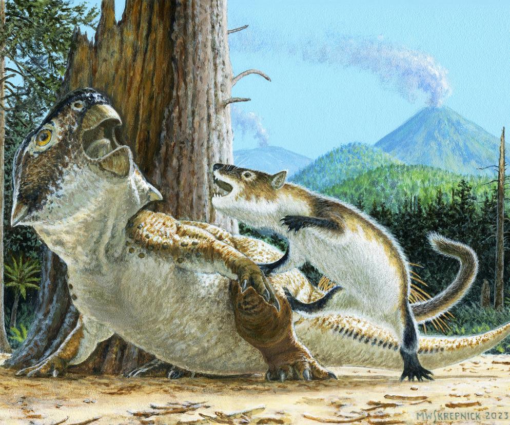 Ta skamielina to zapis epickiej walki! A jednak ssaki potrafiły postawić się dinozaurom