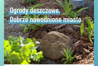 Ogrody deszczowe w Lublinie. Kolejna zielona inicjatywa w mieście