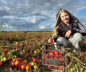 Samozbiory pomidorów na plantacji w Niewirkowie cieszą się powodzeniem