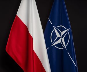 Sojusznikom przekazano informacje o przebiegu kolejnego incydentu naruszenia granicy NATO przez „środki bojowe Federacji Rosyjskiej”