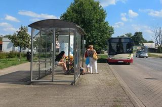 Dobra wiadomość dla działkowców. Autobus nr 5 MZK w Lesznie będzie linią całoroczną