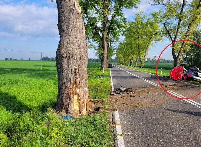 Tragiczna śmierć na DK41. Auto wyleciało z drogi! Utrudnienia w Piorunkowicach