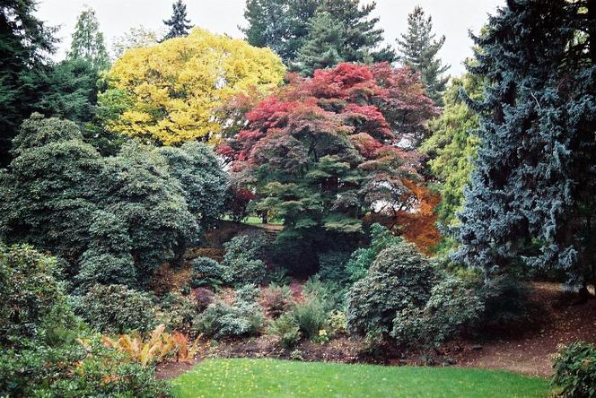 Arboretum Wojsławice prezentuje pełną paletę barw