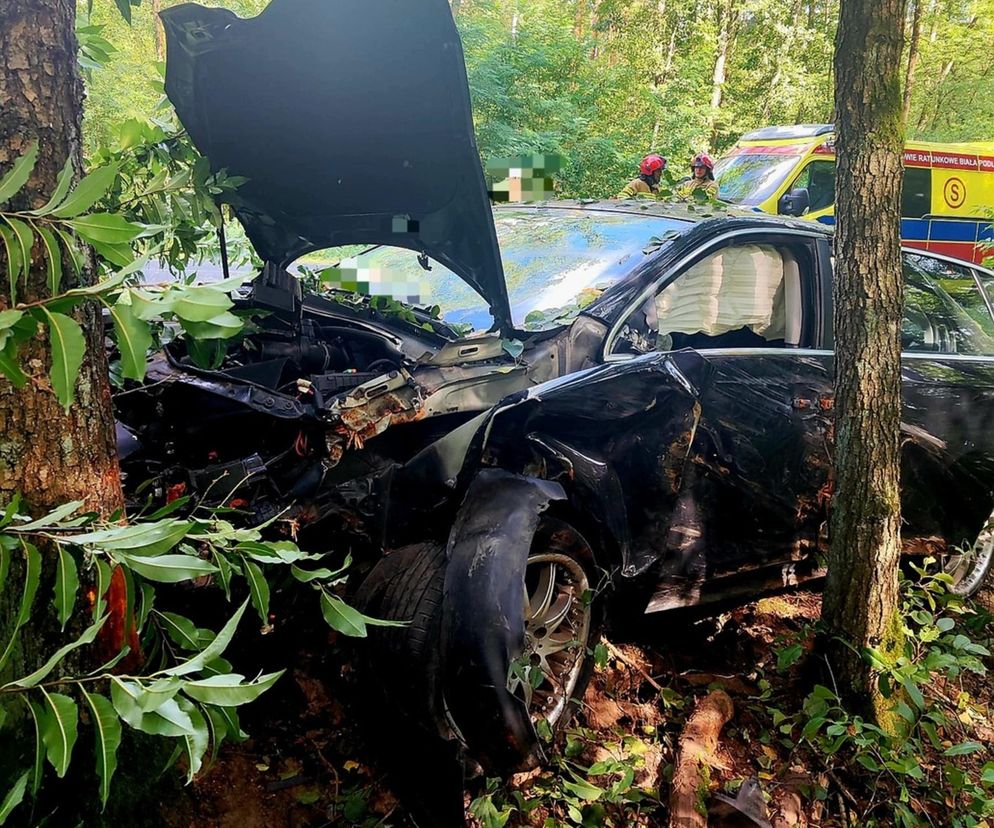 19-latek chciał ominąć sarnę, rozbił auto na drzewie. Poważny wypadek w Sosnowicy