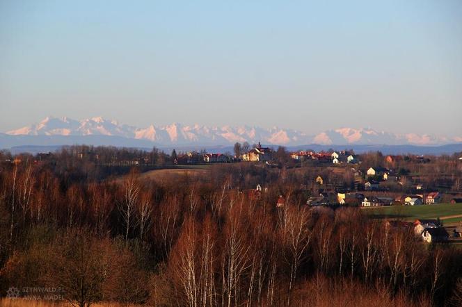 Widoki ze Świniogóry 