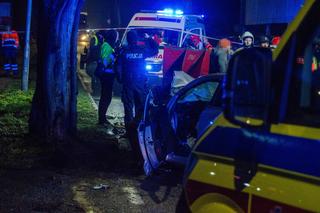 Śmiertelny wypadek w Nowogrodzie Bobrzańskim. Domniemany sprawca znaleziony półżywy w zaroślach [ZDJĘCIA]
