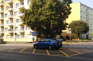 Yellow boxy wrócą na ulice Szczecina. Będą... niebieskie!
