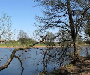 Z czym sztucznej inteligencji kojarzy się Podlasie? Postanowiliśmy to sprawdzić i zapytaliśmy AI