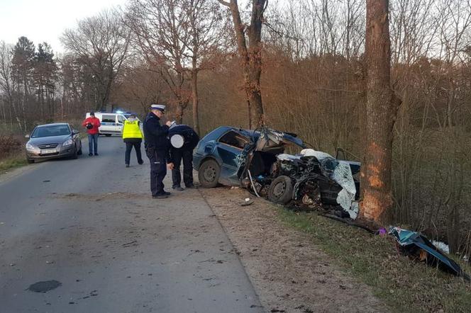 Pijany kierowca Golfa rozbił się na drzewie. Pasażer poniósł śmierć na miejscu