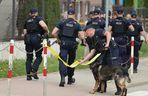 Małopolska. Obława za sprawcą strzelaniny w Starej Wsi