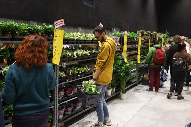 Festiwal Roślin w Katowicach przyciągnął tłumy miłośników zieleni. MCK przepełnione roślinnością