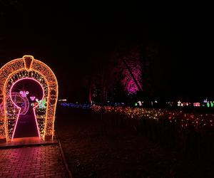 Park Miliona Świateł Zabrze - zdjęcia, cennik 2023/2024