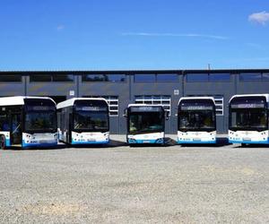 Pierwsze wodorowe autobusy Polsatu dotarły do Rybnika. Zaczną one kursować w październiku 