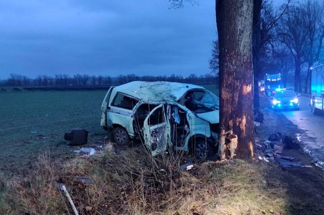 Dwóch 18-latków zginęło. Tragedia na drodze niedaleko Oleśnicy