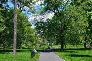 To najpiękniejszy park w Krakowie według AI. Stanowi zieloną enklawę w centrum miasta [GALERIA]
