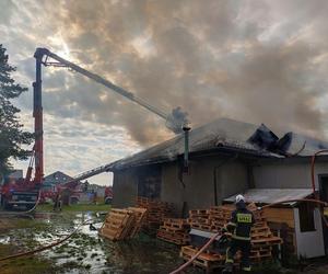 Pożar stolarni pod Nasielskiem