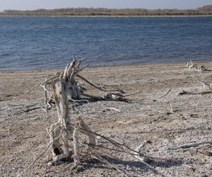 To największa katastrofa ekologiczna w dziejach. Każdy podmuch wiatru jest potencjalnym atakiem chemicznym