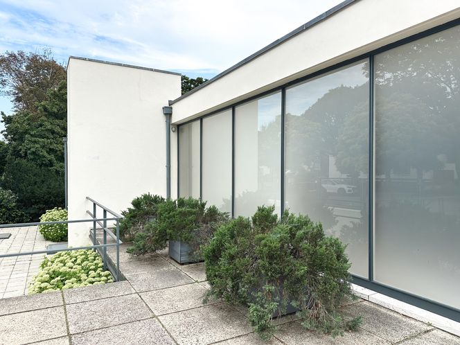 Willa Tugendhatów w Brnie