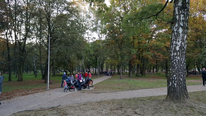 Wyremontowany Park Grabek w Czeladzi