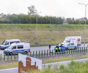 Tragedia na autostradzie A2 w okolicy Krzesin. Nie żyje motocyklista