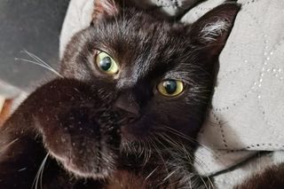 To ukochane zwierzaki naszych Czytelników!