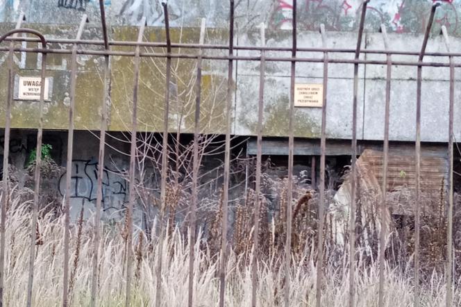 Tak wygląda obecnie stadion Szyca w Poznaniu