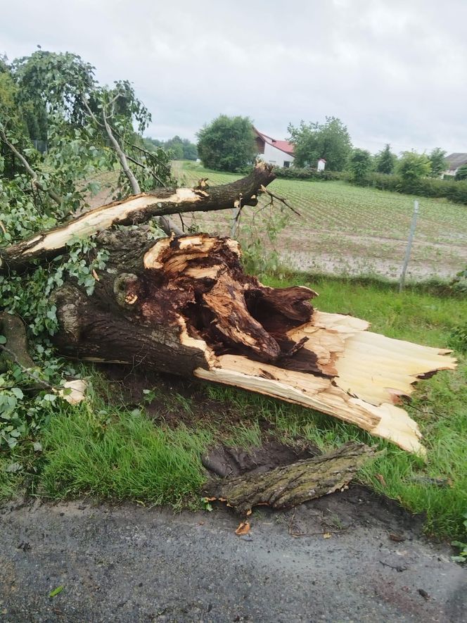 Skutki gwałtownych burz 7 czerwca 2025 w północnej części Lubelszczyzny