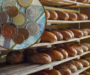 Bochenek chleba za 10 zł, a ma być jeszcze drożej! Niepokojące prognozy