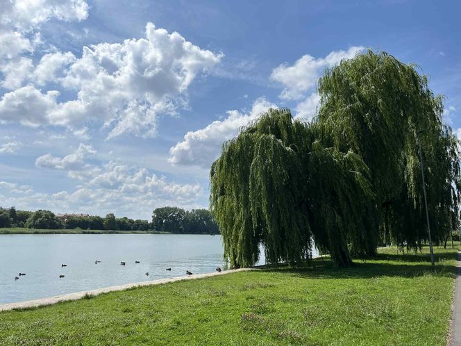 Jezioro Nowogardzkie
