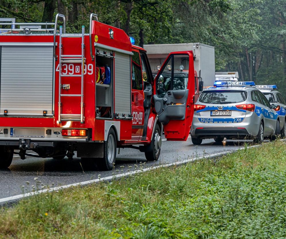 Jasionna. Pożar auta na poboczu leśnej drogi. W środku zwęglone ciało 