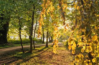 To jedno z najbardziej romantycznych miejsc w Polsce na weekend dla kobiet po 50-tce. Swoją wielką miłość przeżywała tu Michalina Wisłocka