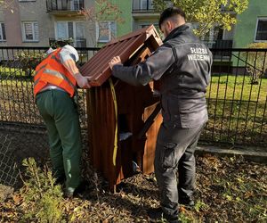 Osadzeni w Zakładzie Karnym w Białej Podlaskiej wykazali się empatią do zwierząt