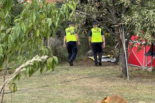 Wypadek awionetki w Krzycku Wielkim